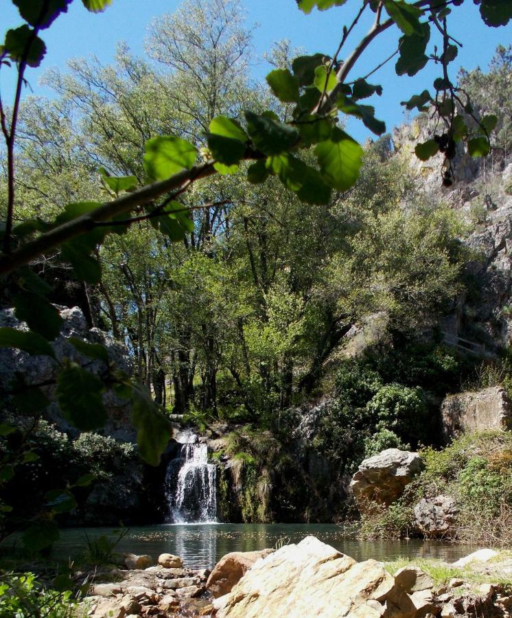 Agroturismo De Vale De Junco *
